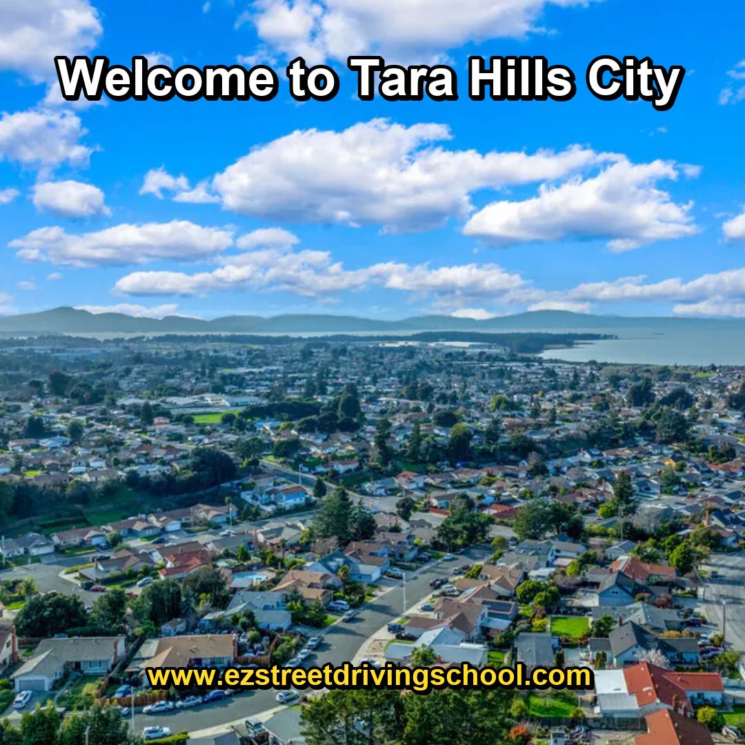 Driving Lessons in Tara Hills